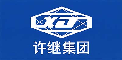 Xuji Group partner logo